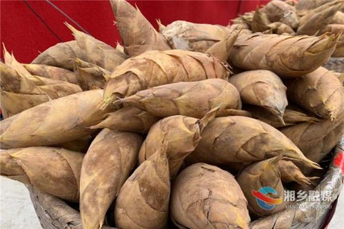 湘鄉以筍為媒 農副土特產品助力群眾致富奔康